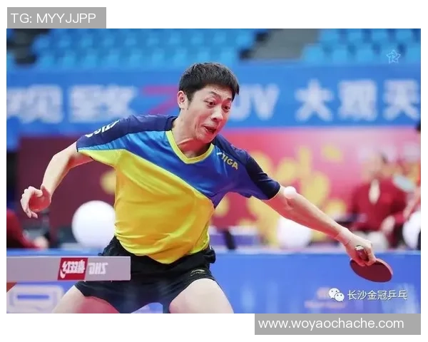 成都乒乓球队区域防守策略深度解析与实战应用探讨