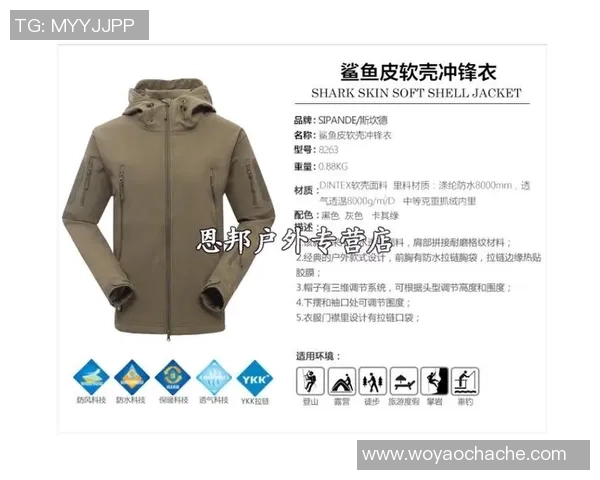 武汉攀岩队整体压制体系的战术解析与实战应用探讨