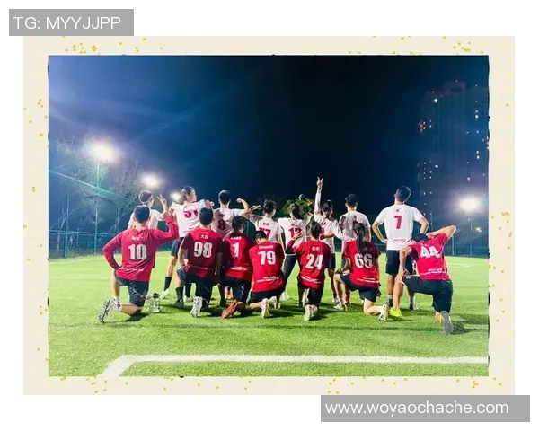 深入探讨北京飞盘队与其他队伍的实力差异与发展潜力分析