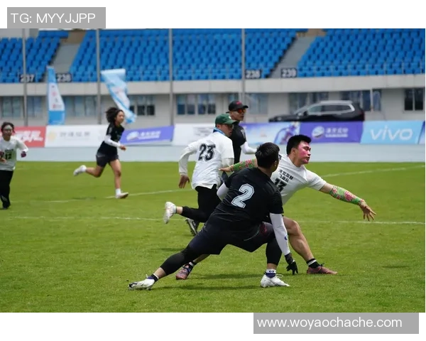 南京飞盘队近期状态分析及表现评估数据解读